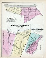 Patton, Byerson`s Station P.O., Oak Forest, Greene County 1876